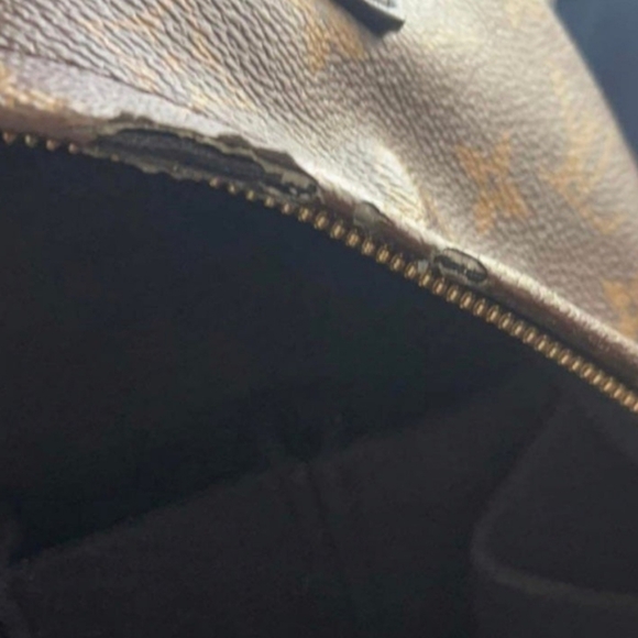 Louis Vuitton Palm Springs PM - Picture 6 of 13